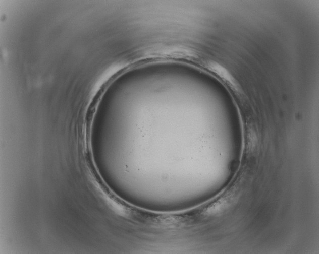 X0000066081079200603311929