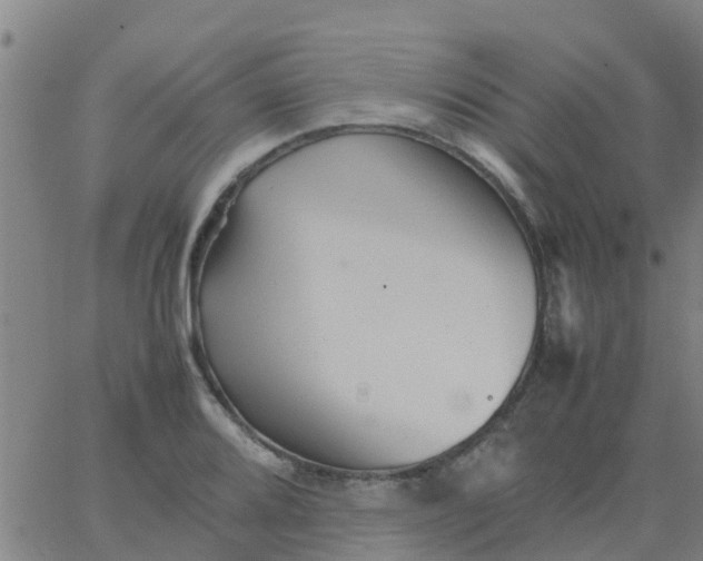 X0000066081080200603311929