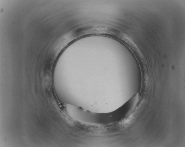 X0000066081081200603311929