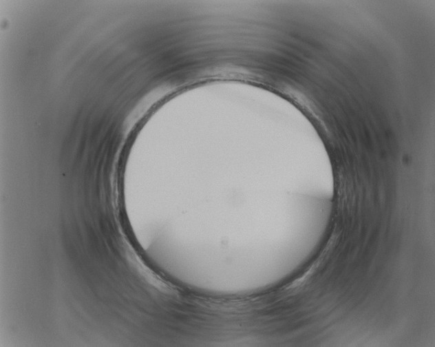 X0000066081082200603311929