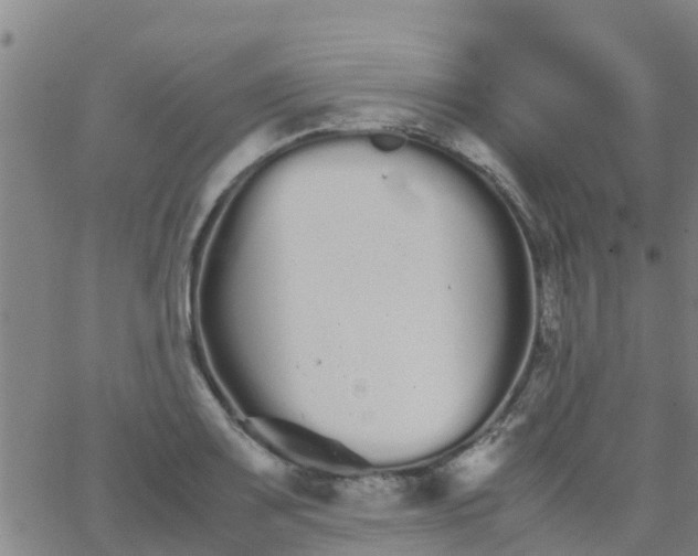 X0000066081083200603311929