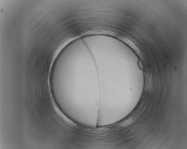 X0000066081084200603311929