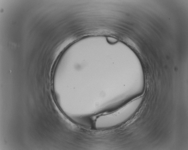 X0000066081087200603311929