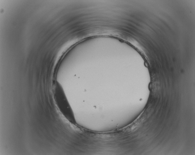 X0000066081088200603311929