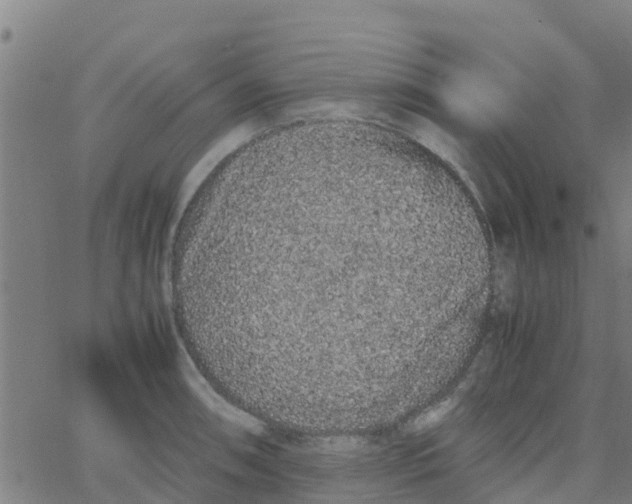 X0000066081090200603311929