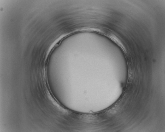 X0000066081092200603311929