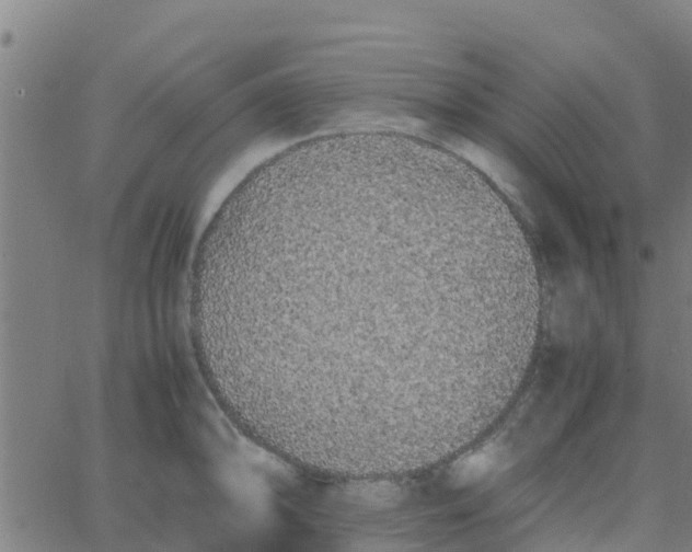 X0000066081094200603311929