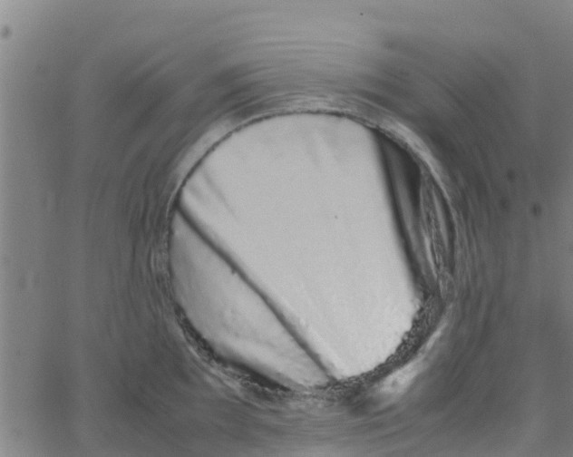 X0000066081097200603311929