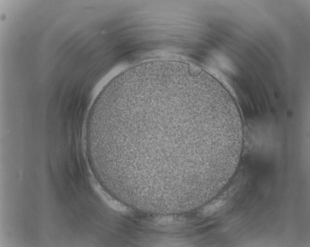 X0000066081098200603311929