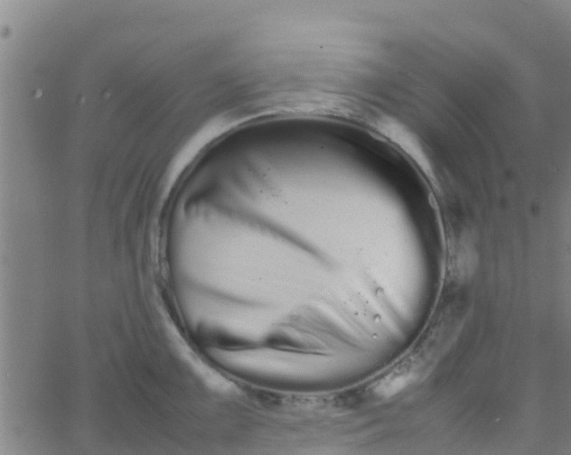 X0000066081099200603311929