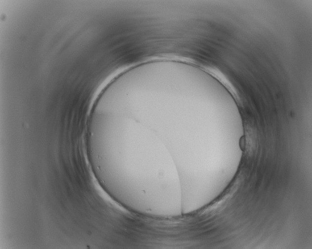 X0000066081100200603311929