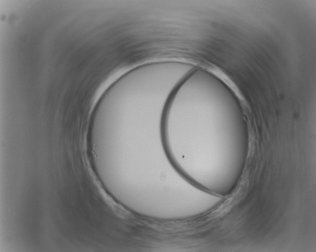 X0000066081101200603311929