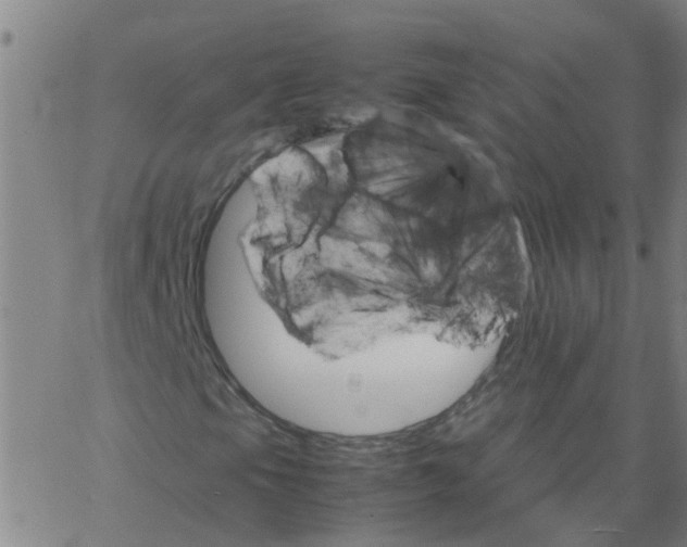 X0000066081105200603311928