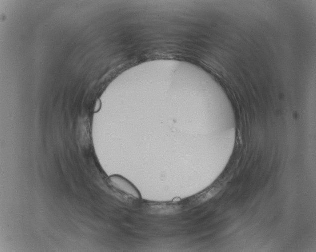 X0000066081107200603311928