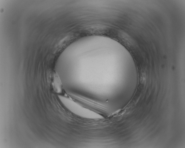 X0000066081108200603311928