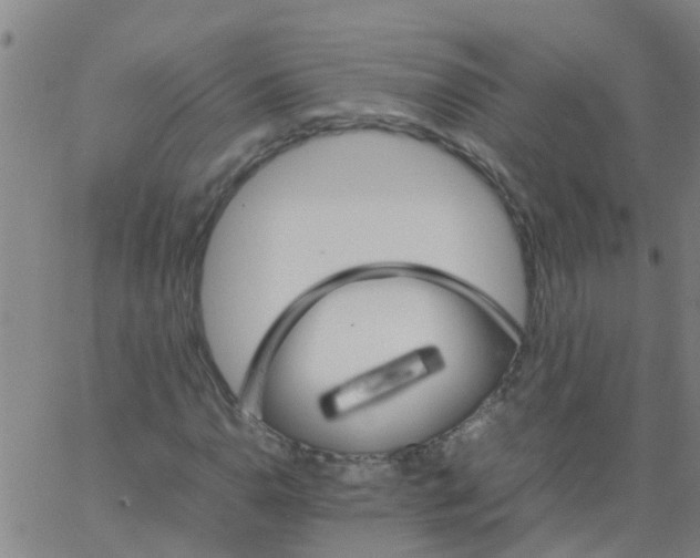 X0000066081110200603311928