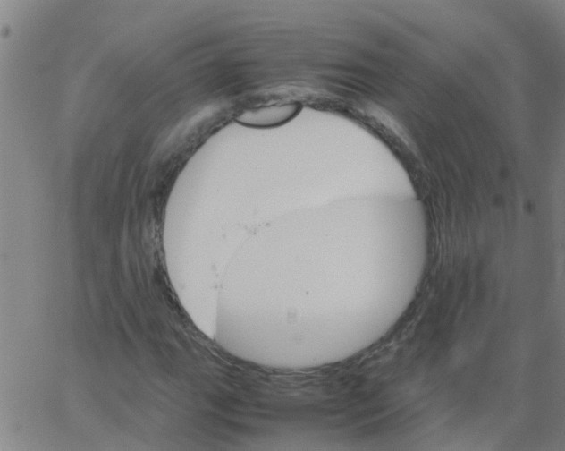 X0000066081111200603311928