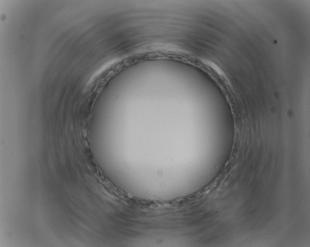 X0000066081112200603311928