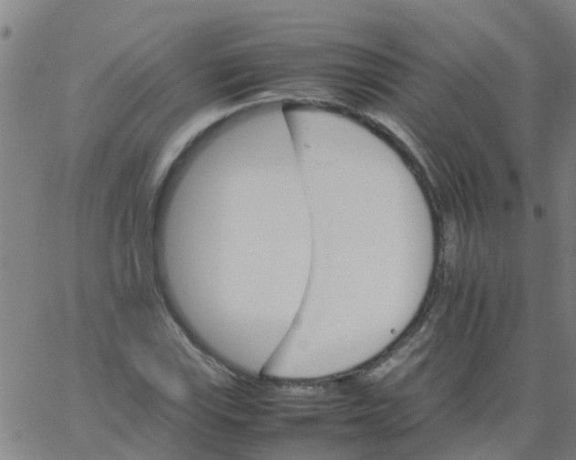 X0000066081115200603311928