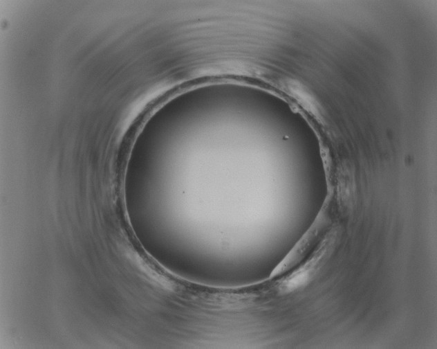 X0000066081116200603311928