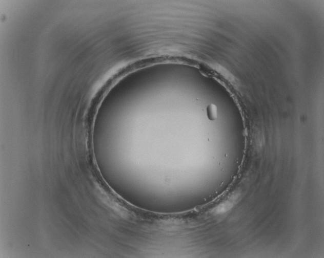 X0000066081118200603311928