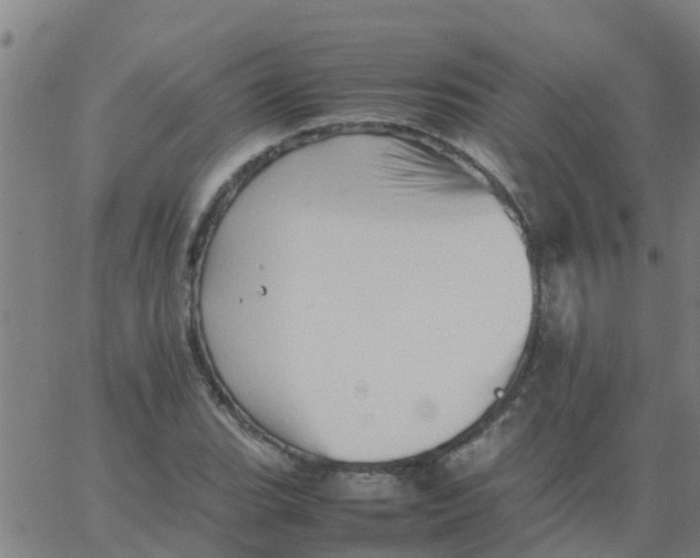 X0000066081119200603311928