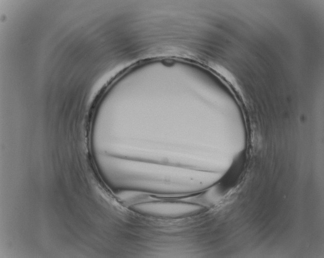 X0000066081120200603311928