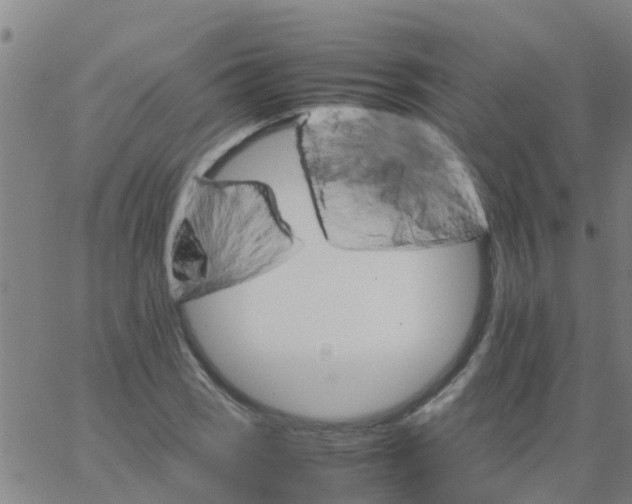 X0000066081121200603311928