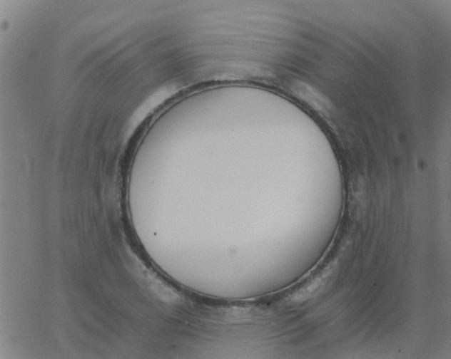 X0000066081122200603311928