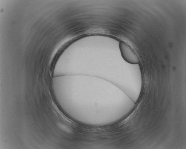 X0000066081123200603311928