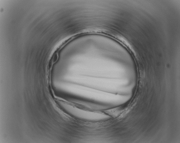 X0000066081124200603311928