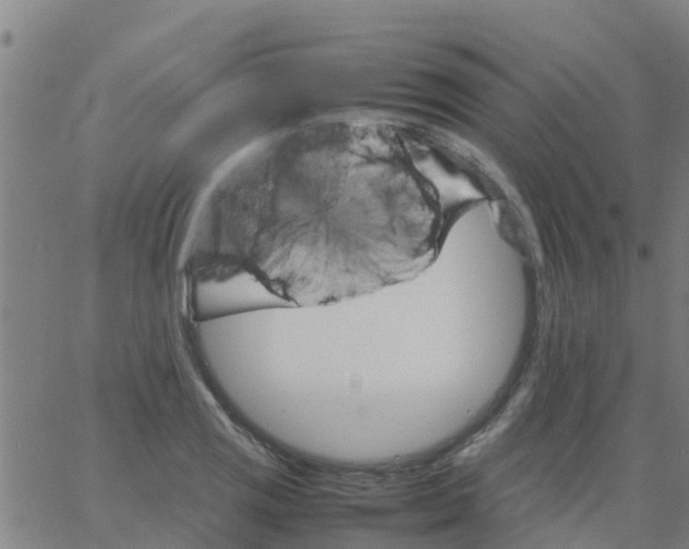 X0000066081125200603311928