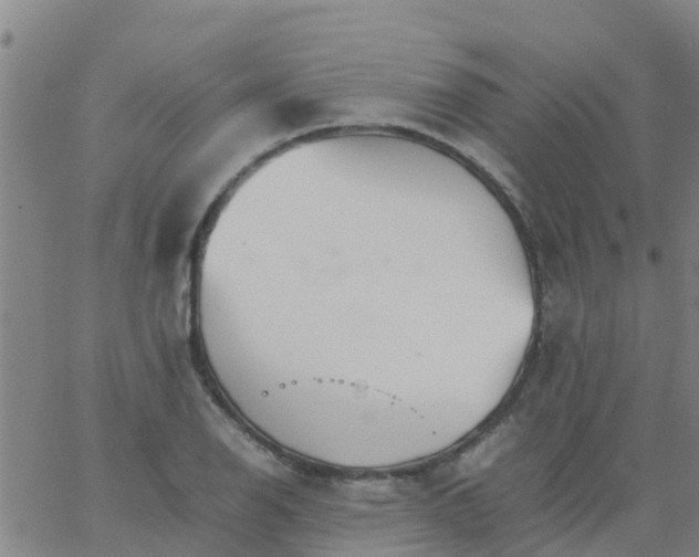 X0000066081126200603311928