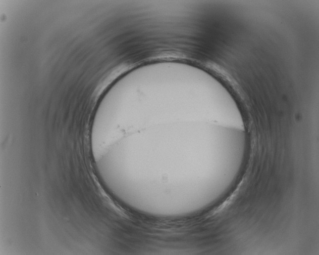 X0000066081129200603311928