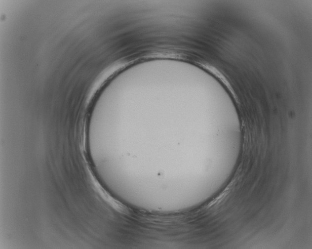 X0000066081131200603311928