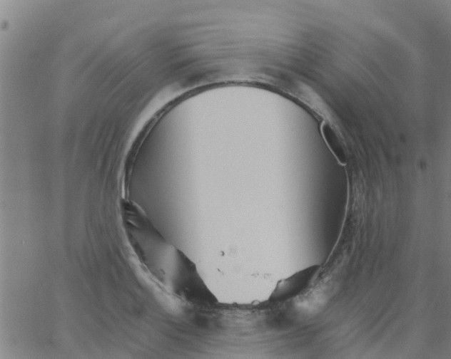 X0000066081132200603311928