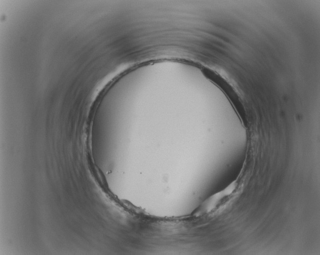 X0000066081134200603311928