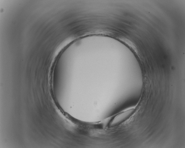 X0000066081135200603311928