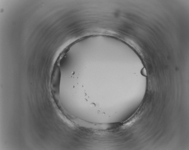 X0000066081136200603311928