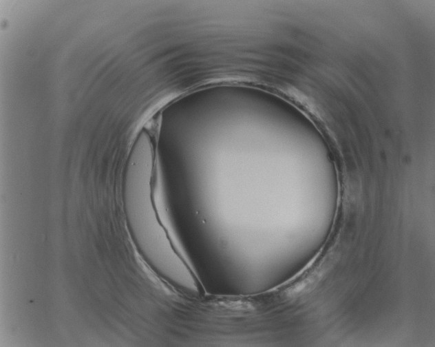 X0000066081137200603311928