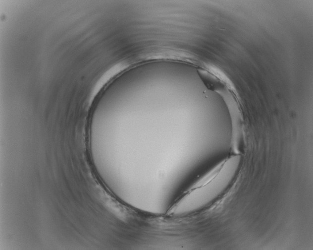 X0000066081138200603311928