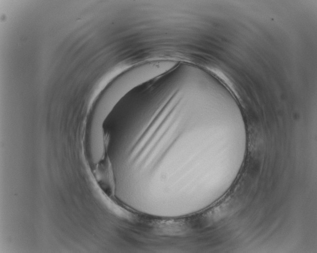 X0000066081139200603311928