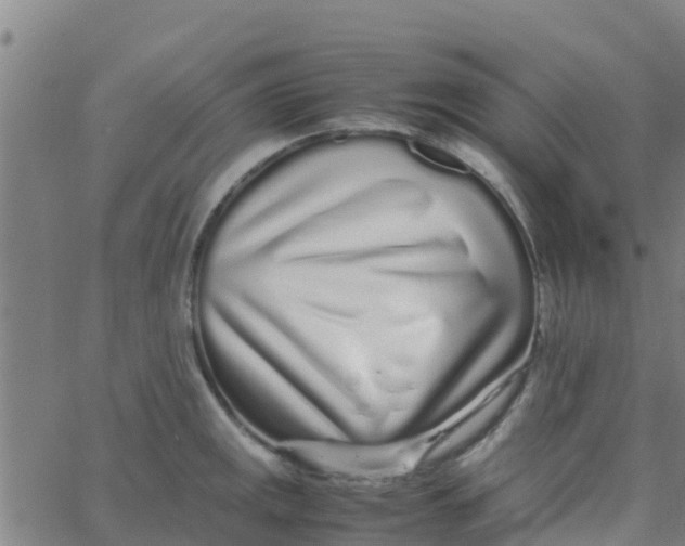 X0000066081141200603311928