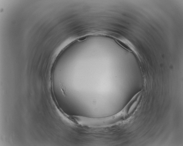 X0000066081143200603311928