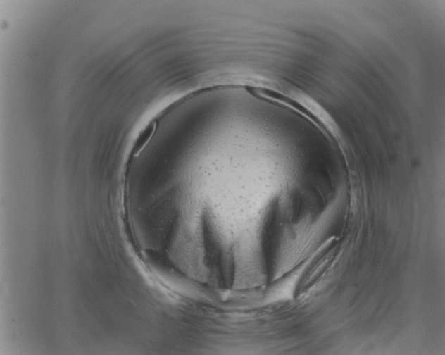 X0000066081144200603311929