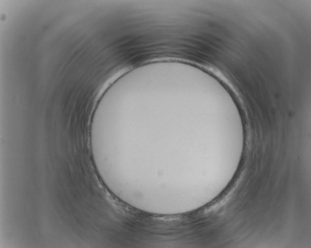 X0000066081145200603311929