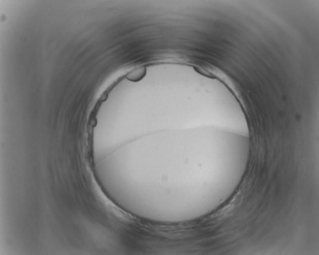 X0000066081147200603311929