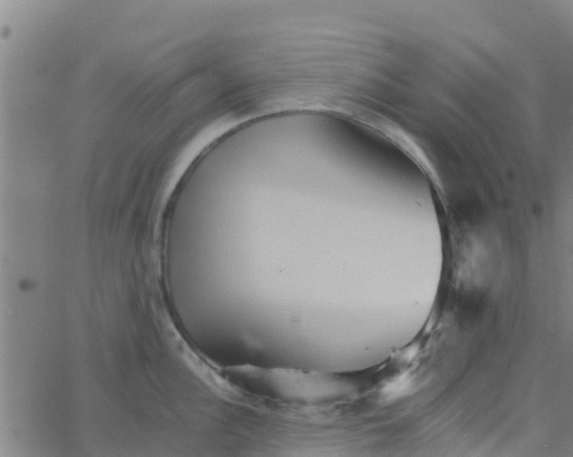 X0000066081148200603311929