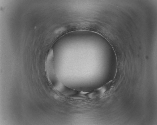 X0000066081153200603311928