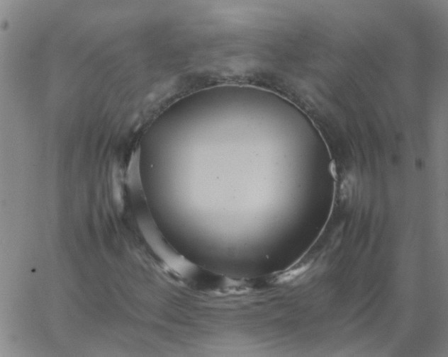 X0000066081156200603311928